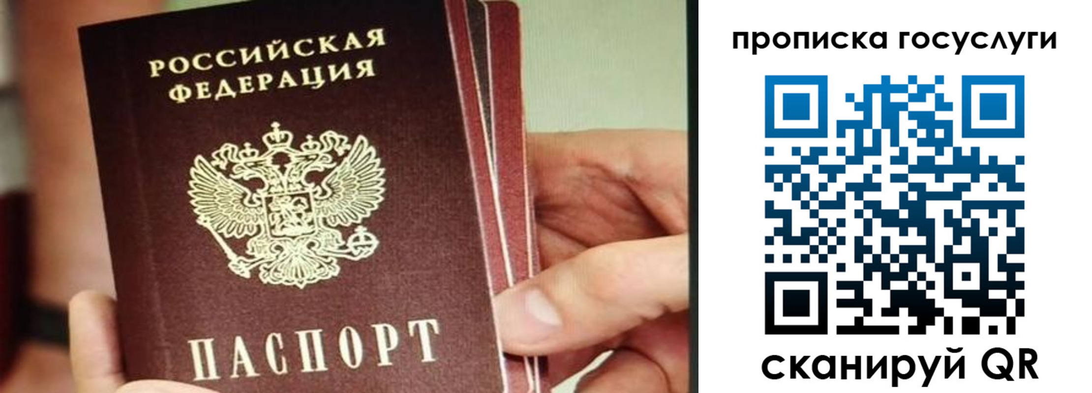 пропишу в квартире в Тосно